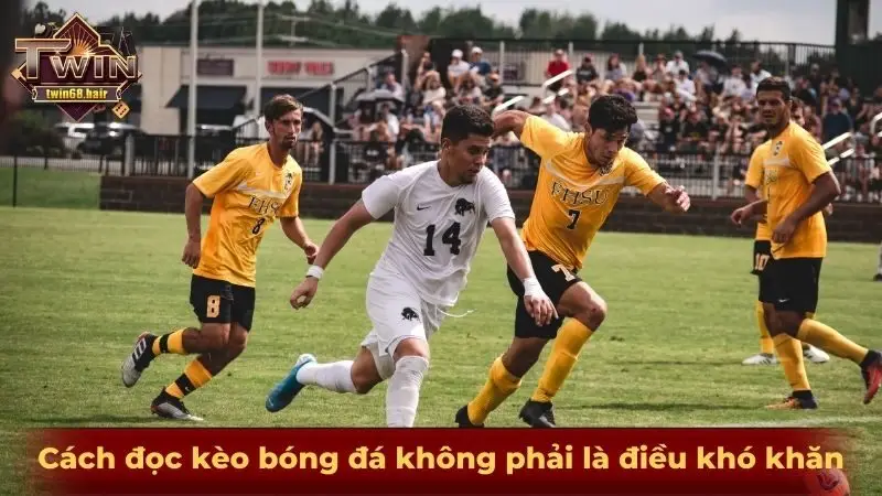 Cách đọc kèo bóng đá không phải là điều khó khăn